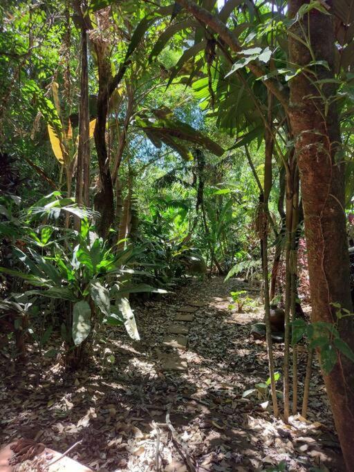 Cabana En Alajuela En Lugar Tranquilo Y Con Mucha Naturaleza. Tambor  Exterior foto