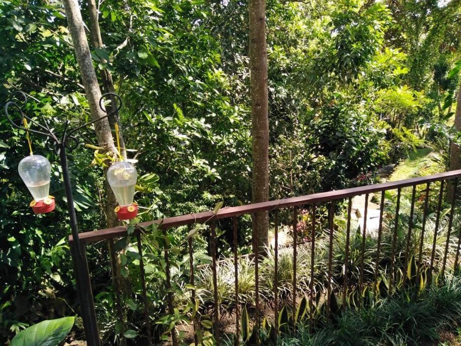 Cabana En Alajuela En Lugar Tranquilo Y Con Mucha Naturaleza. Tambor  Exterior foto