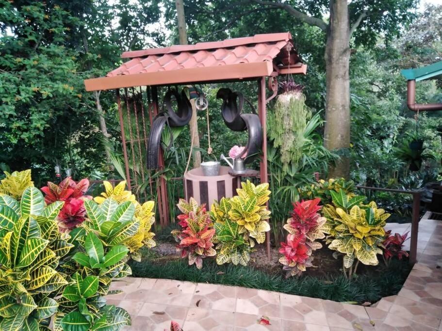 Cabana En Alajuela En Lugar Tranquilo Y Con Mucha Naturaleza. Tambor  Exterior foto