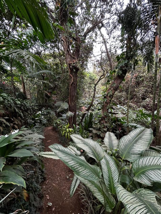 Cabana En Alajuela En Lugar Tranquilo Y Con Mucha Naturaleza. Tambor  Exterior foto