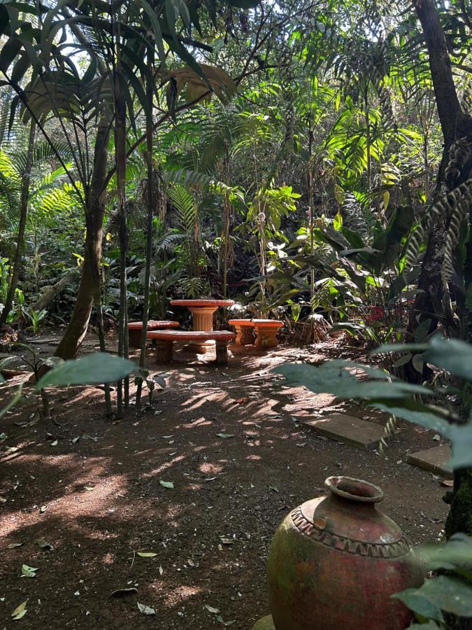 Cabana En Alajuela En Lugar Tranquilo Y Con Mucha Naturaleza. Tambor  Exterior foto