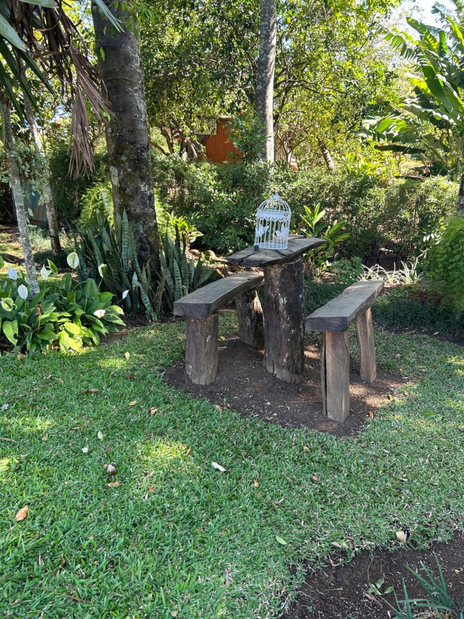 Cabana En Alajuela En Lugar Tranquilo Y Con Mucha Naturaleza. Tambor  Exterior foto